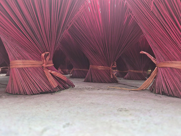 20251111_144804