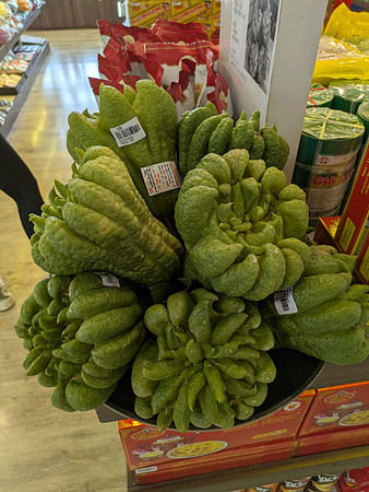 IMG-20251123-WA0040