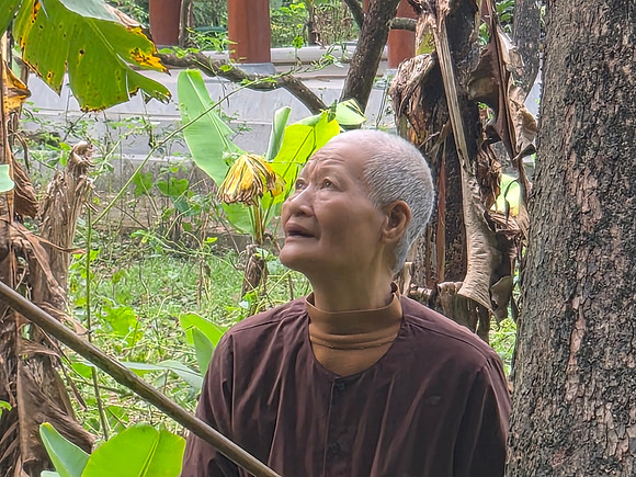 All the faces and characters of Vietnam 2025