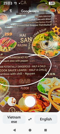 Google translate blunder in Vietnam restaurant: Half a child