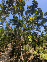 PXL_20251124_045440351