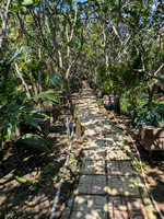 PXL_20251124_045149520