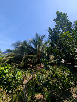 PXL_20251124_045625067