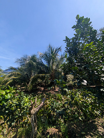 PXL_20251124_045625067