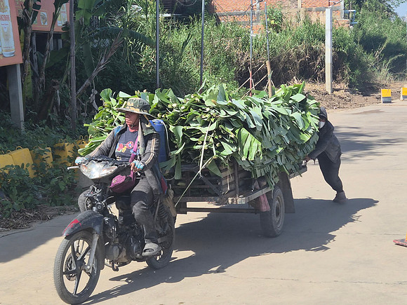 Motorcycle and farmer on the mekong river Cambodia