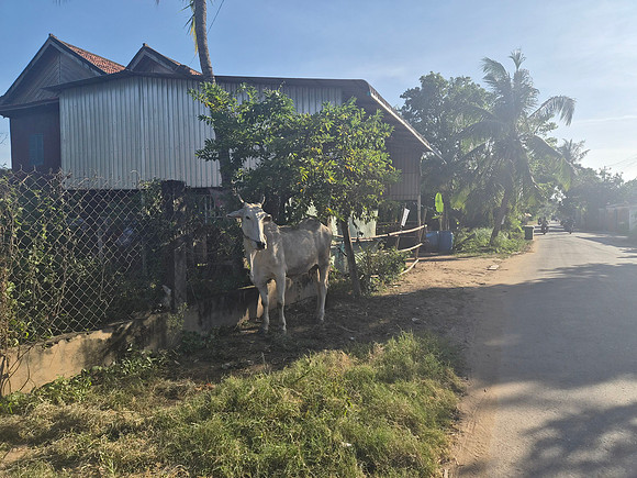 Silk Island Cambodia