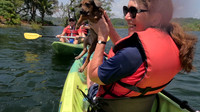 IMG-20260306-WA0001